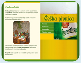 CESKAPIVNICA.COM